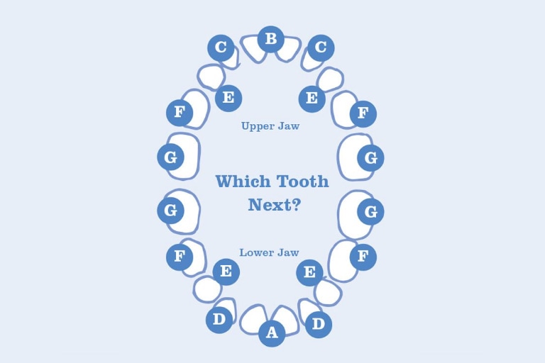 Which Tooth Next Ashton Parsons